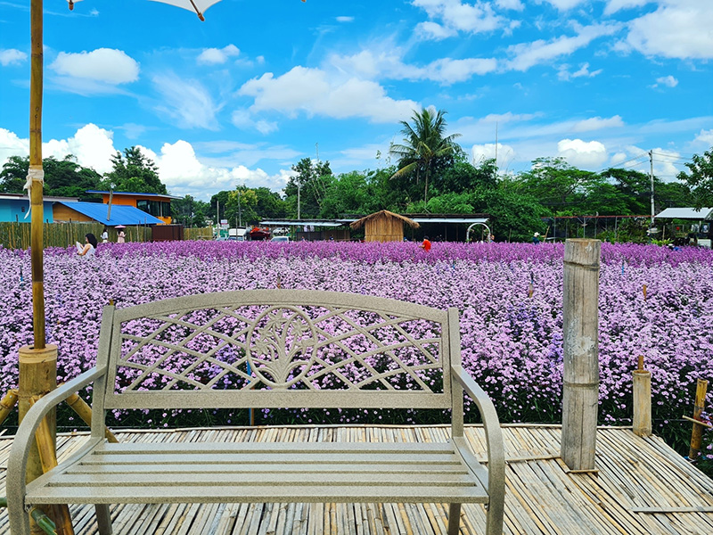 ไร่กลิ่นเกสร เชียงใหม่