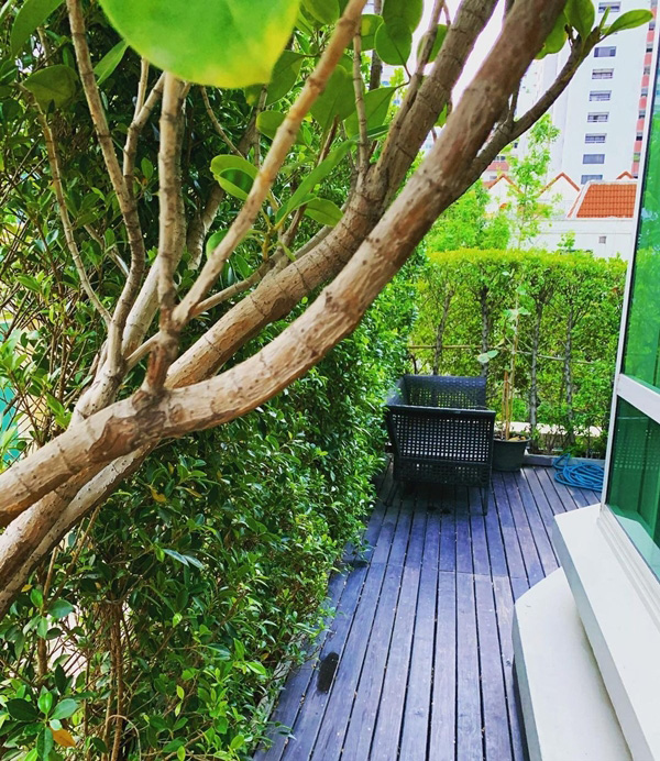 คอนโด ปอย ตรีชฎา