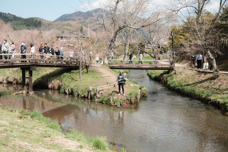 เที่ยวคาวากุจิโกะ  