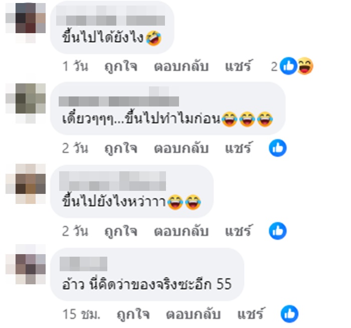ช้าง