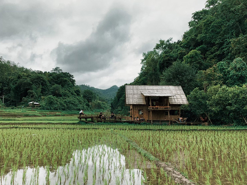 ที่พักเชียงใหม่