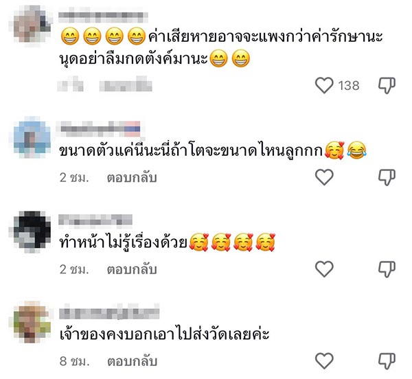 โกลเด้น รีทรีฟเวอร์