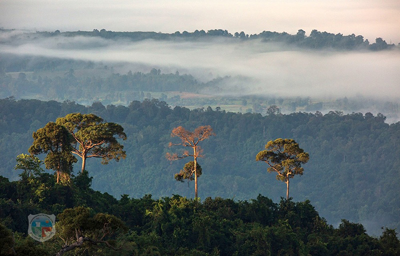จุดชมวิวร่องกล้าฮั้นแน้ว ภูหินร่องกล้า