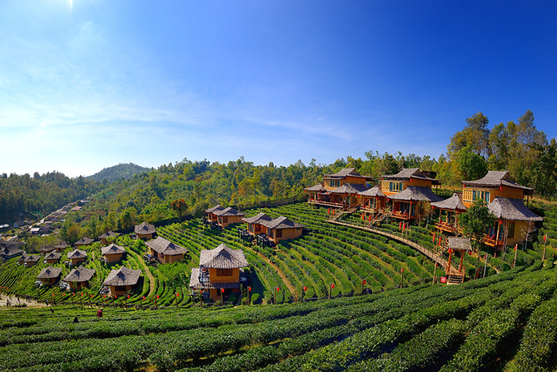 ลีไวน์รักไทย รีสอร์ท