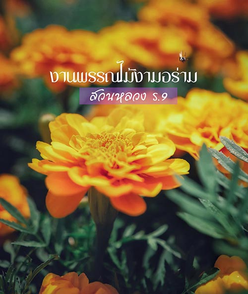 งานสวนหลวง ร.9 2566 