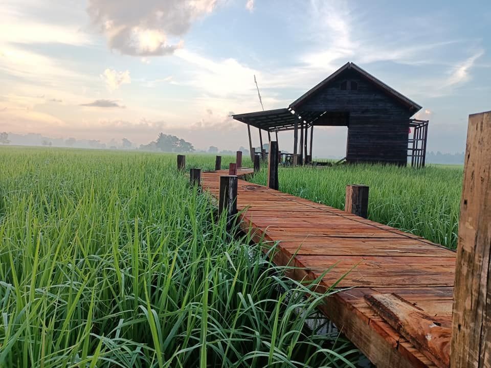 สร้างบ้านกลางทุ่งนา