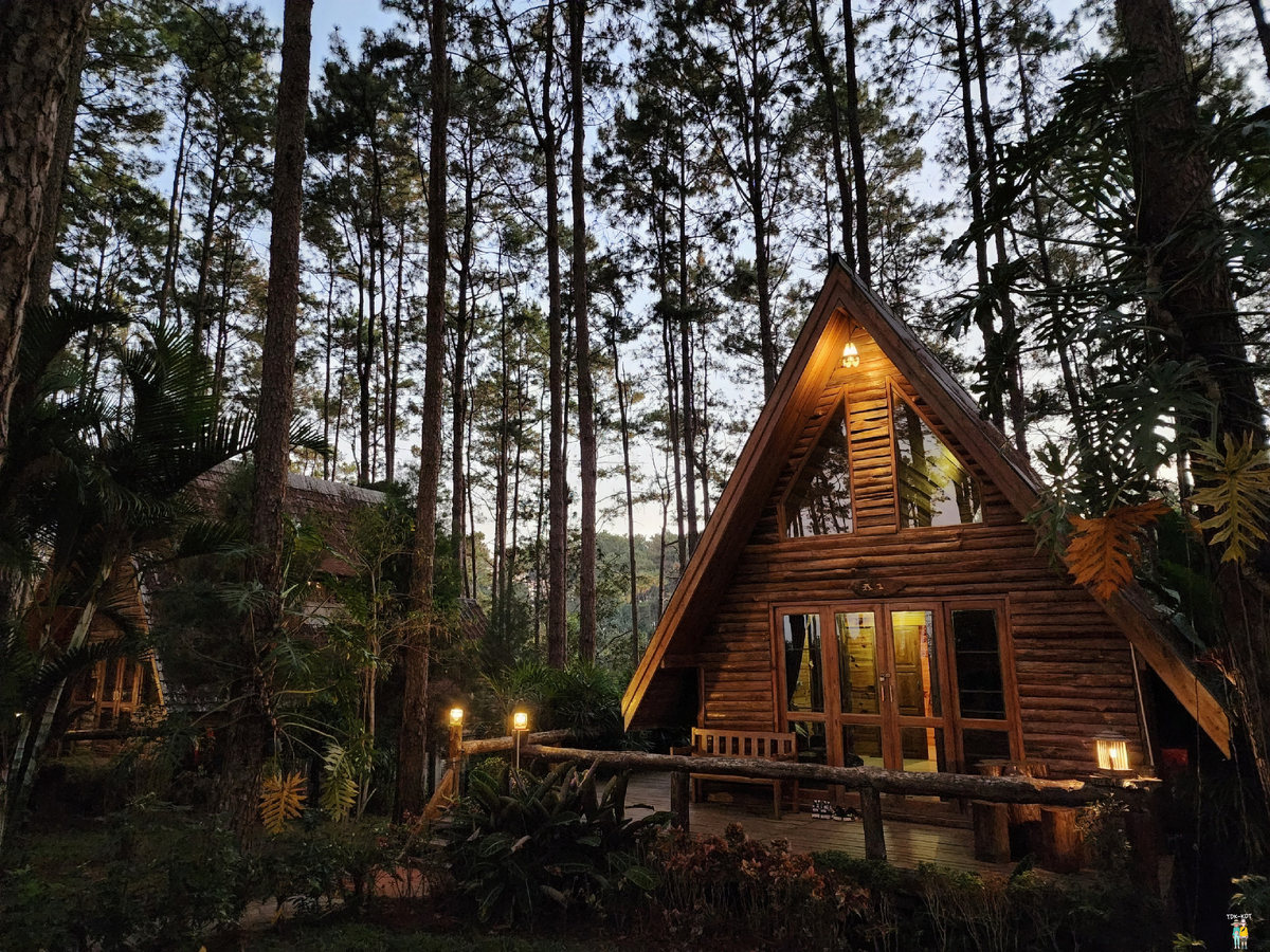 สวนป่าดอยบ่อหลวง เชียงใหม่