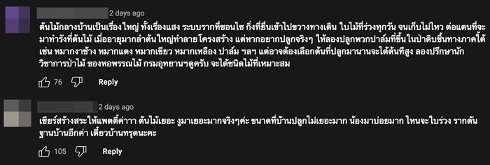 แดน แพทตี้