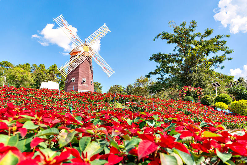 ที่เที่ยวเดือนพฤศจิกายน 2564