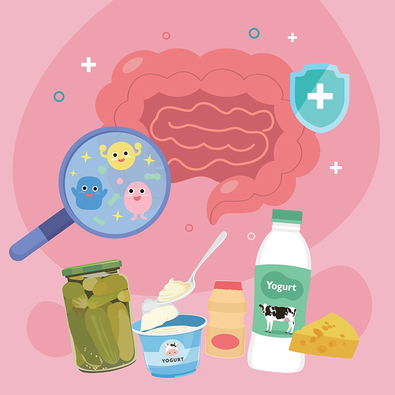 โพรไบโอติก ควรกินเท่าไหร่