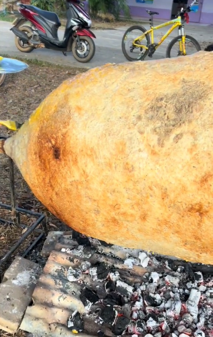 ข้าวจี่ยักษ์