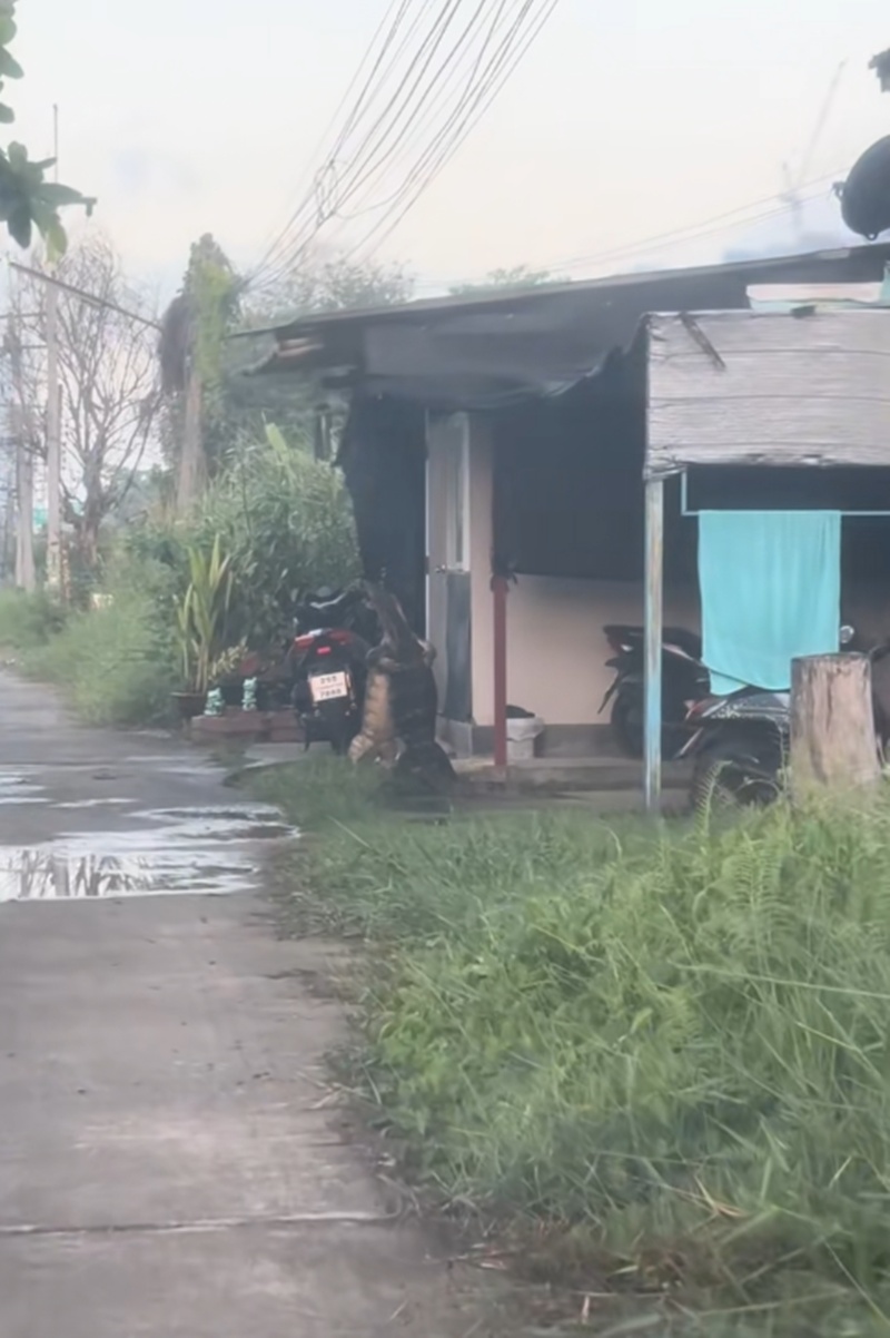 ตัวเงินตัวทอง