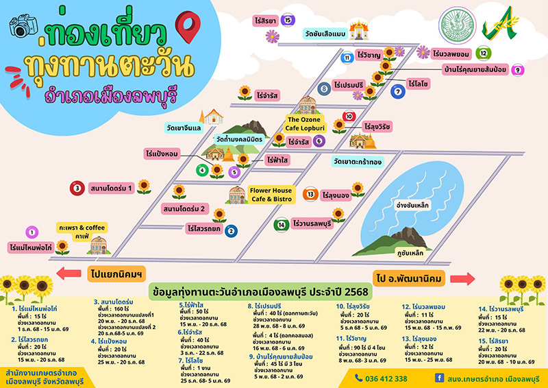 ทุ่งทานตะวัน 2568 ลพบุรี