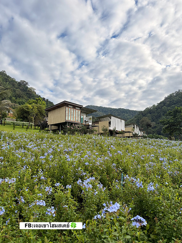 ที่พักหน้าหนาว 2568 เจอเขา โฮมสเตย์