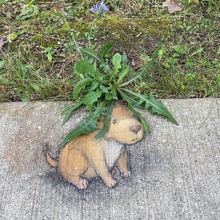 ศิลปะข้างถนน