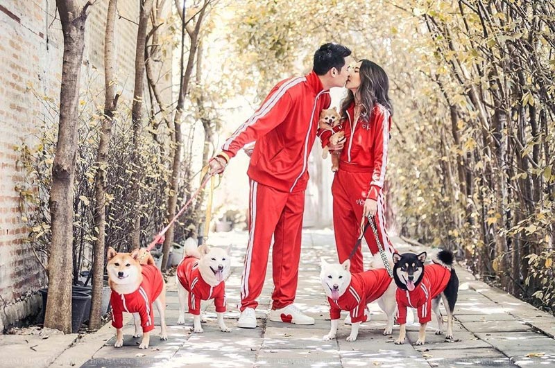 สัตว์เลี้ยงดารา