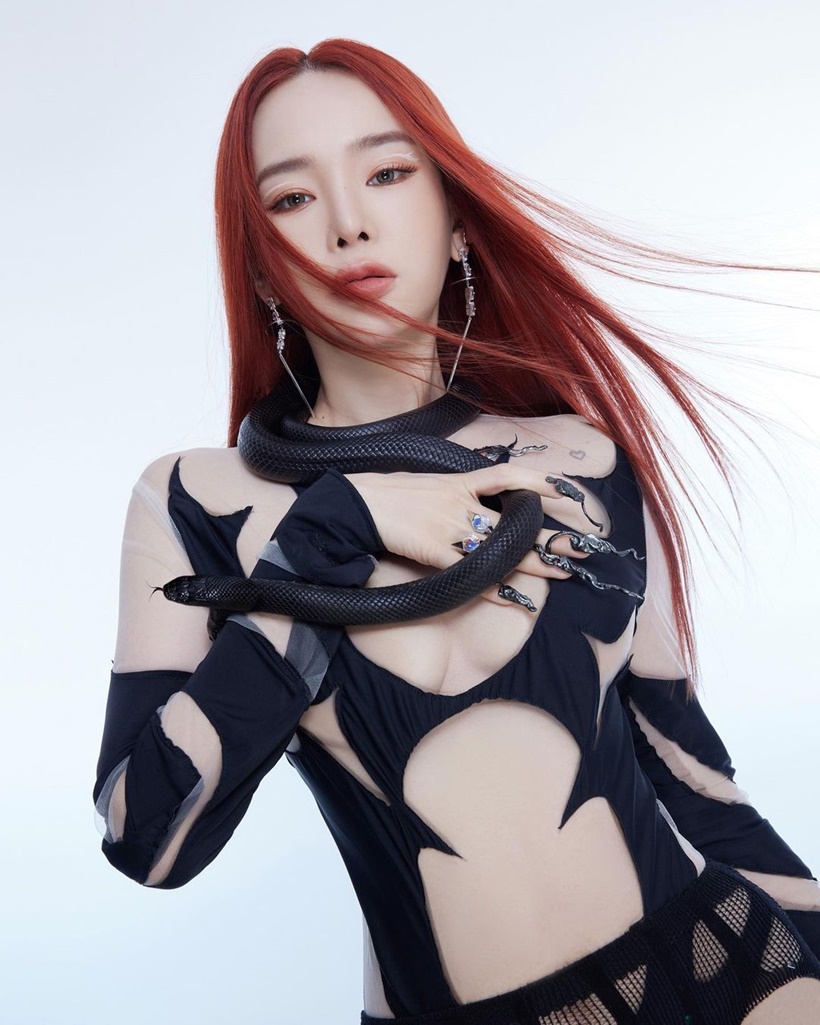 ปุ้มปุ้ย พรรณทิพา