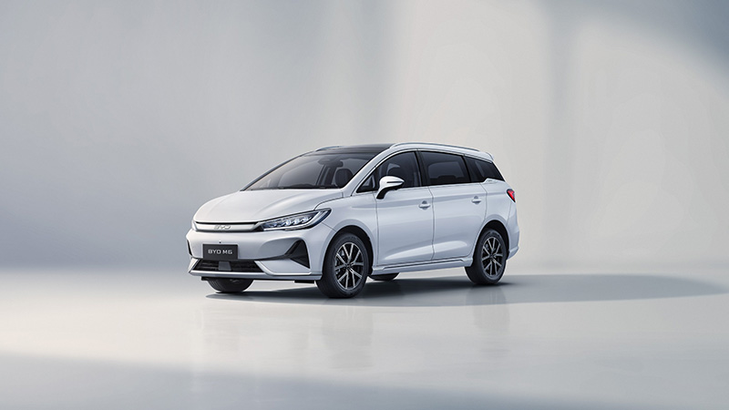 byd m6
