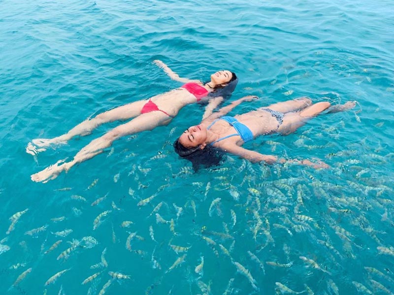 ติช่า จุ๊กกู้ The Face