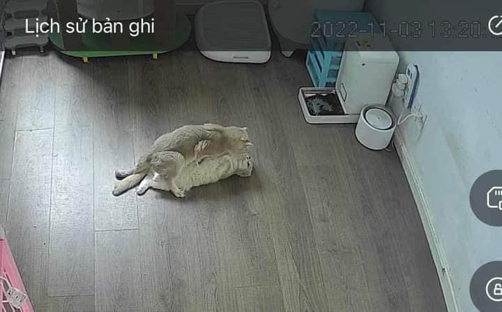กล้องวงจรปิด