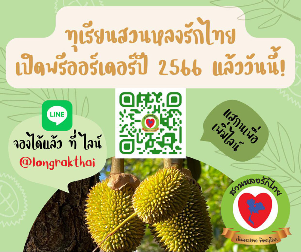 สวนทุเรียนหลงลับแล หลินลับแล