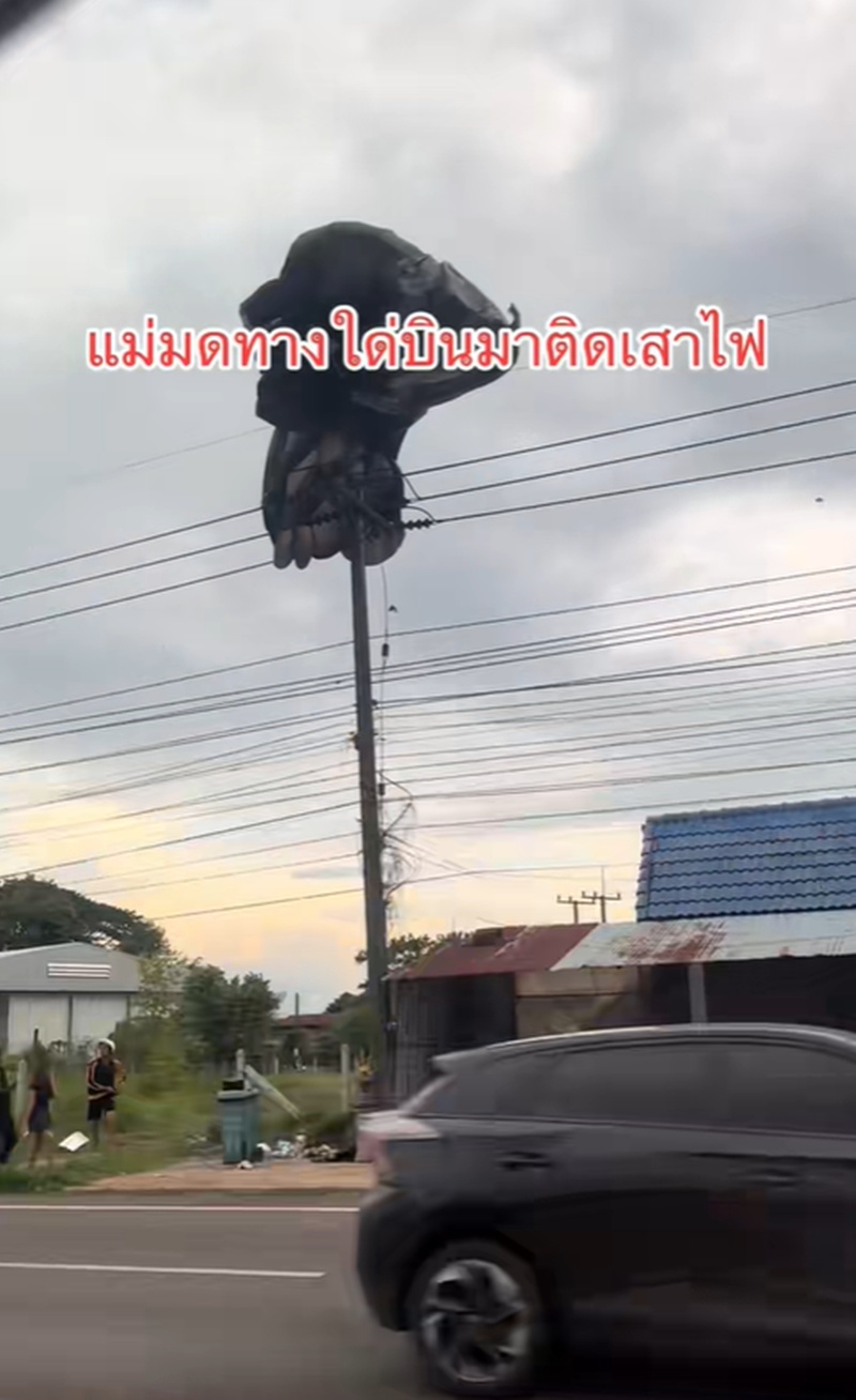 แม่มด