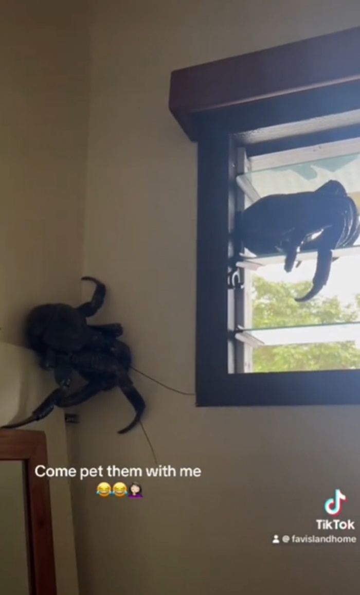 เข้าห้องน้ำ