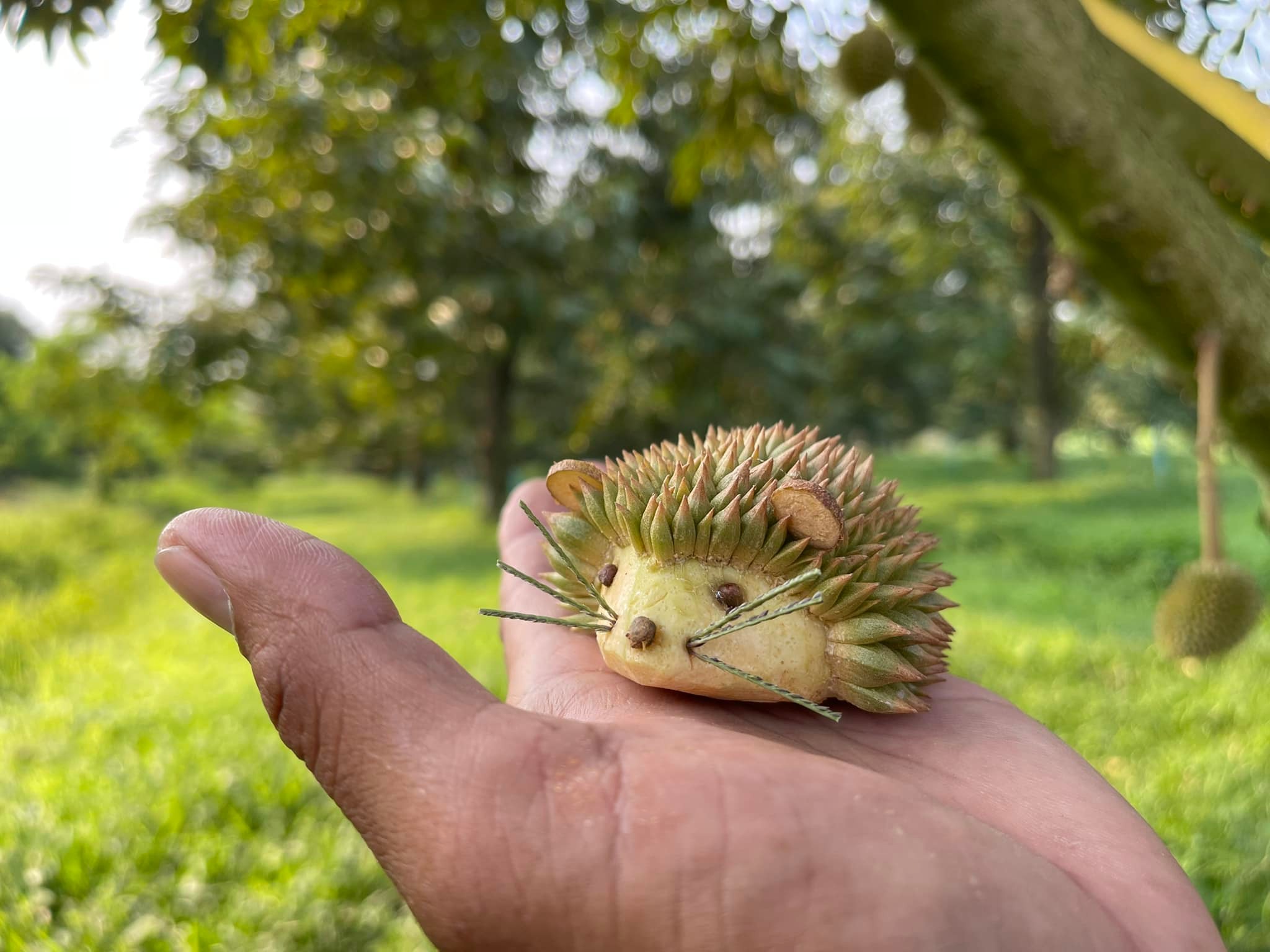 แกะสลักทุเรียน