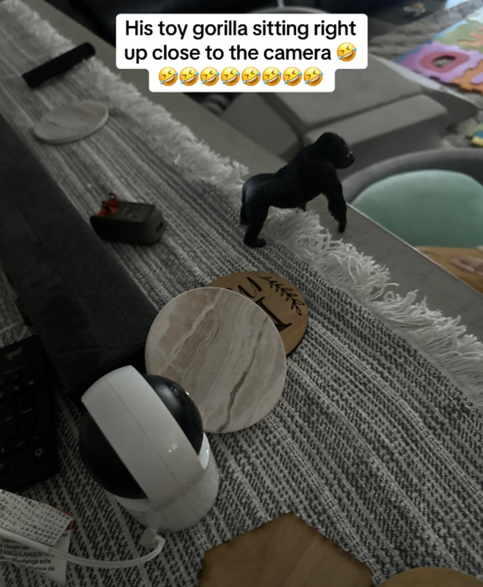 ลิงบุกบ้าน