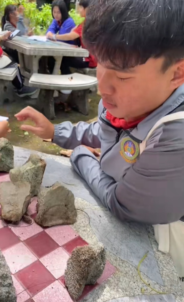 เล่นหมากฮอส