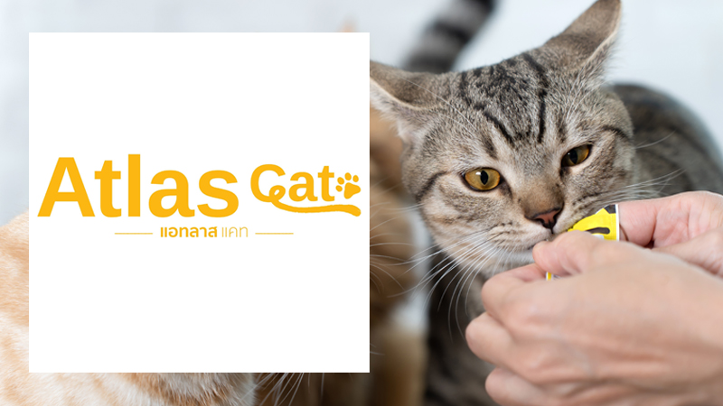 ขนมแมวเลีย Atlas