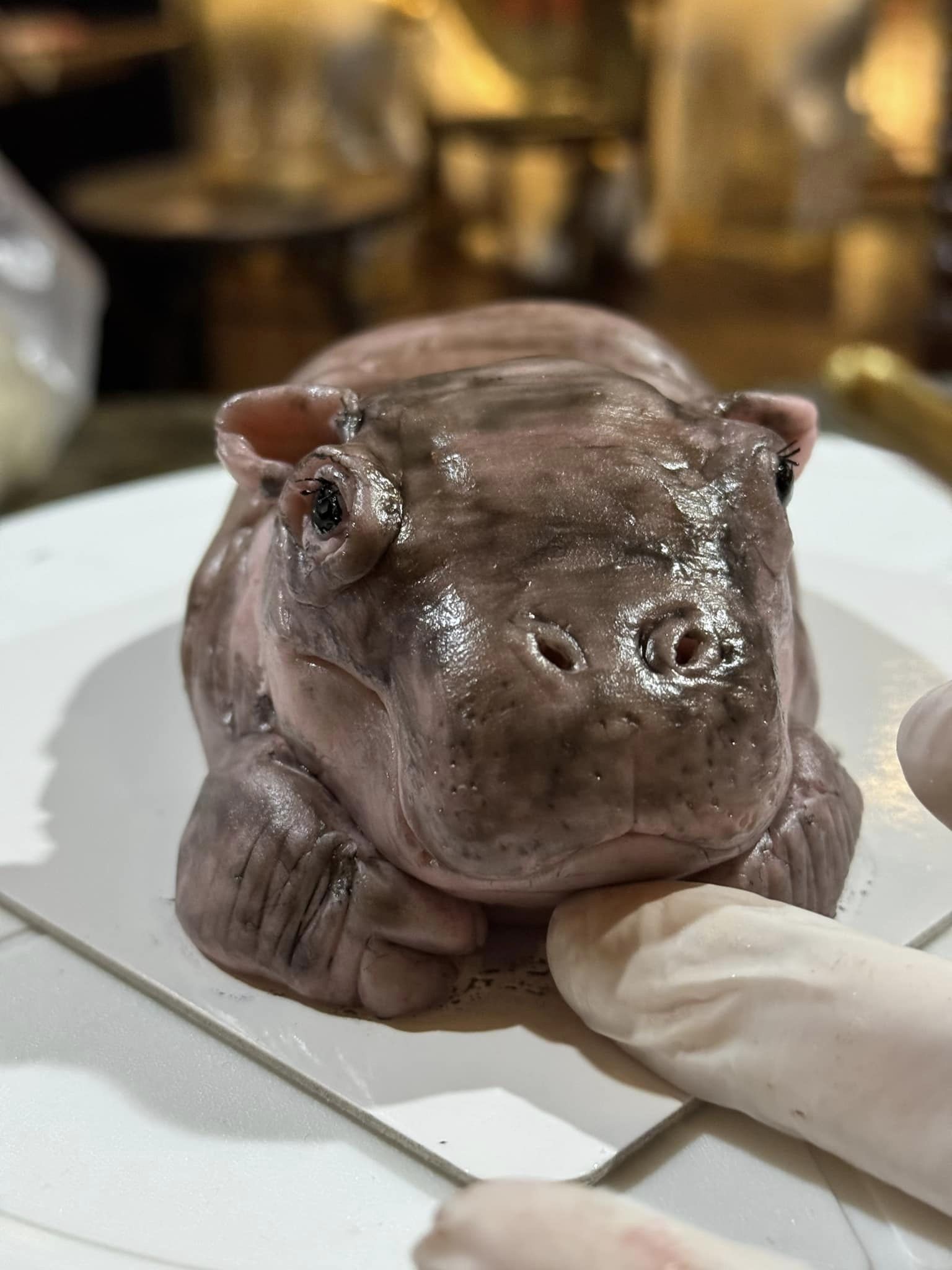 น้องหมูเด้ง