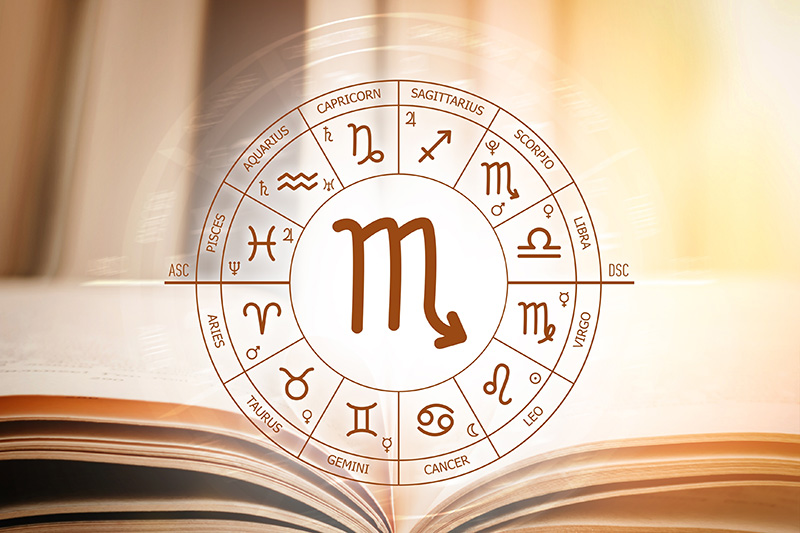 ดูดวง 2569 ราศีพิจิก