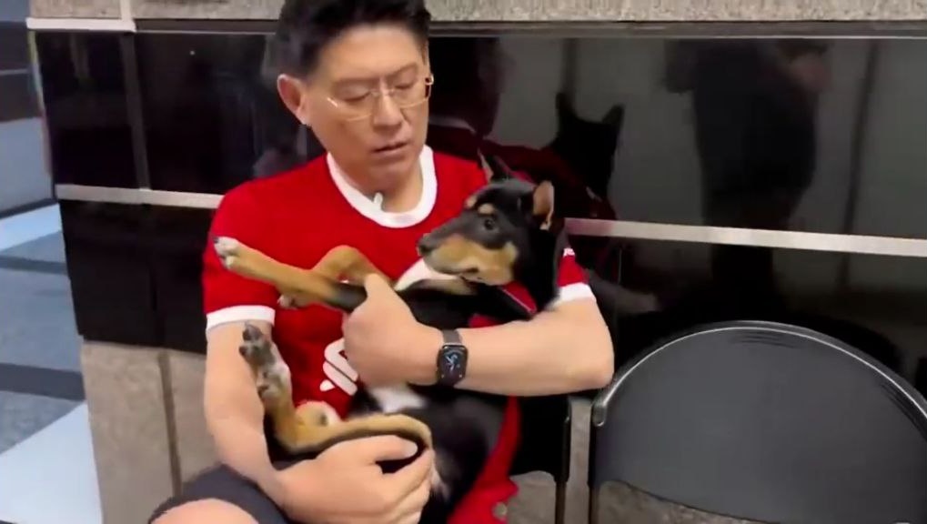  หมาของสรยุทธ