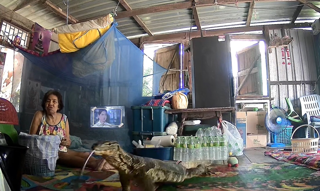 ตัวเงินตัวทอง