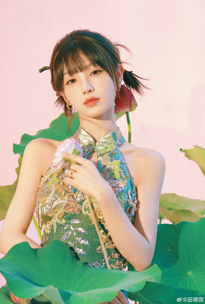 เถียนซีเว่ย นางเอกล่าหยก