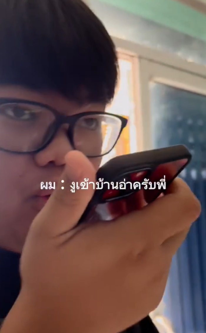 งูเข้าบ้าน