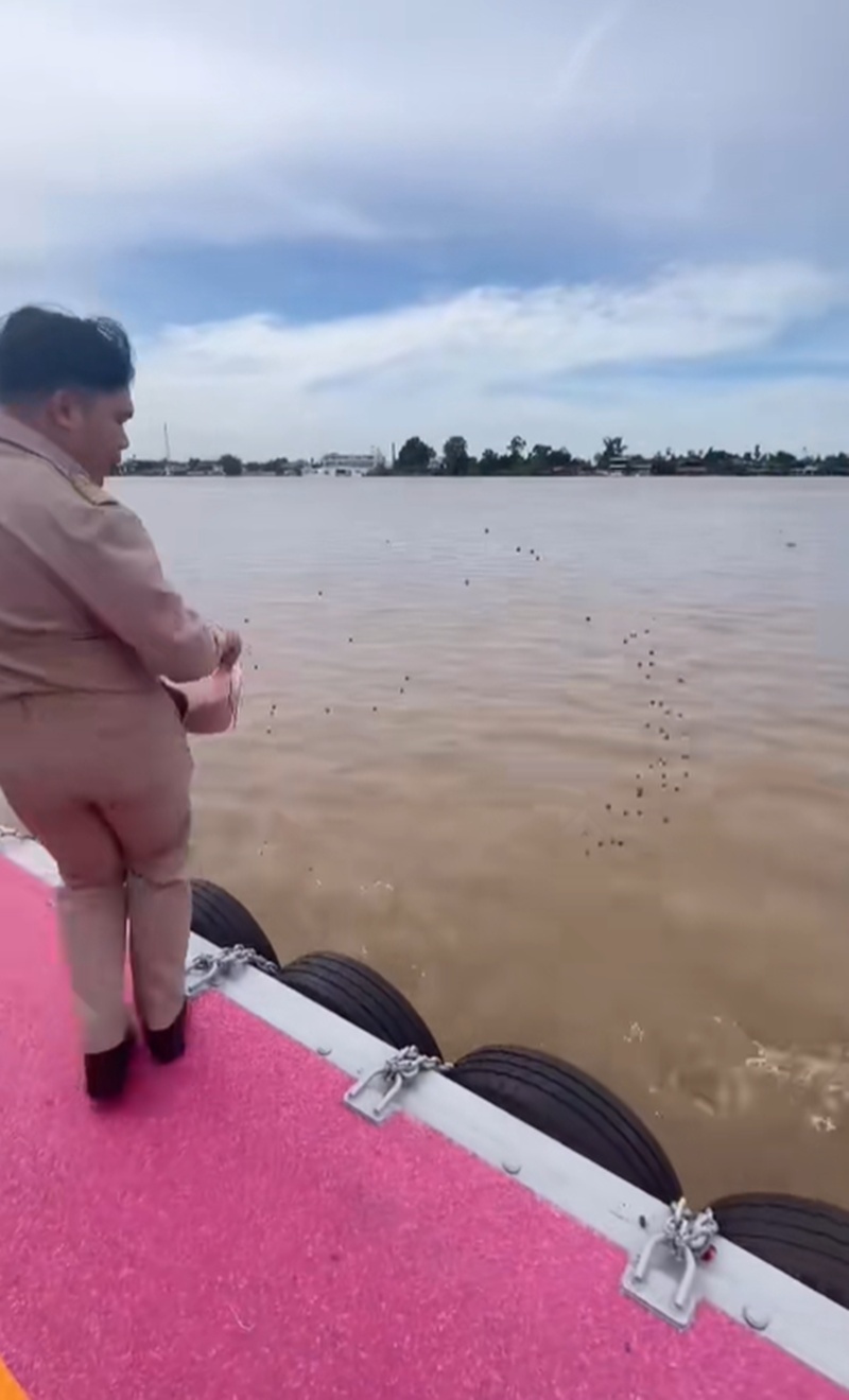 ให้อาหารปลา