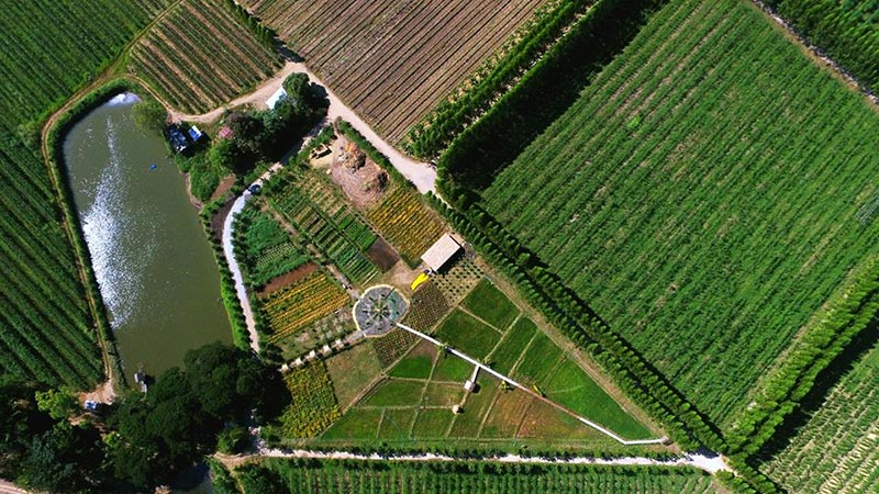 Mulberry Fest’ 2019 ไร่กำนันจุล