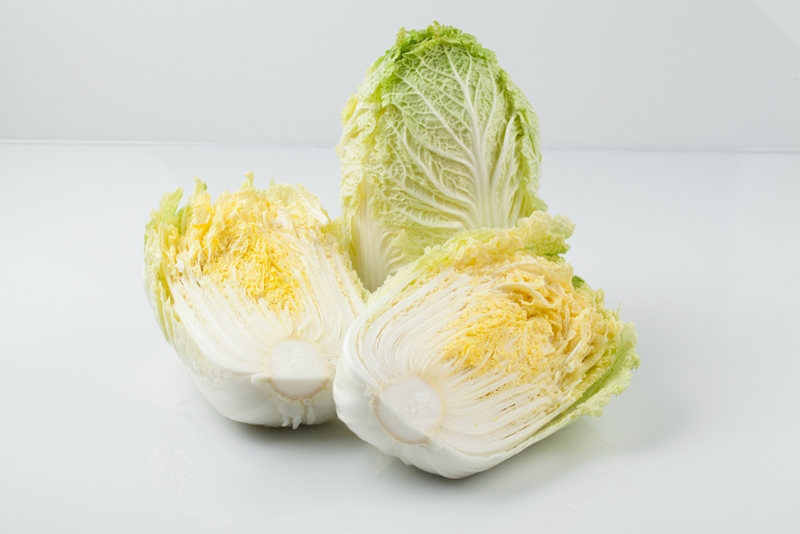ผักกาดขาว (Chinese White Cabbage)
