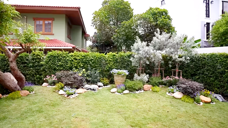 สวนบ้าน หมาก คิม