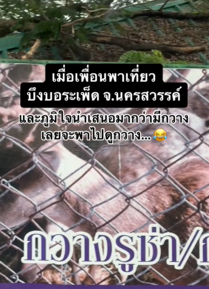 บึงบอระเพ็ด