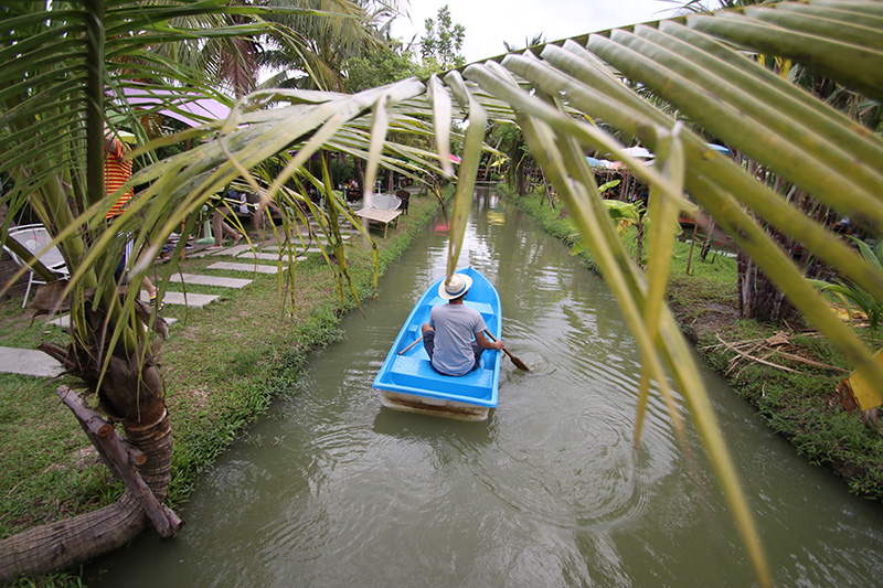 คาเฟ่ในสวนมะพร้าว