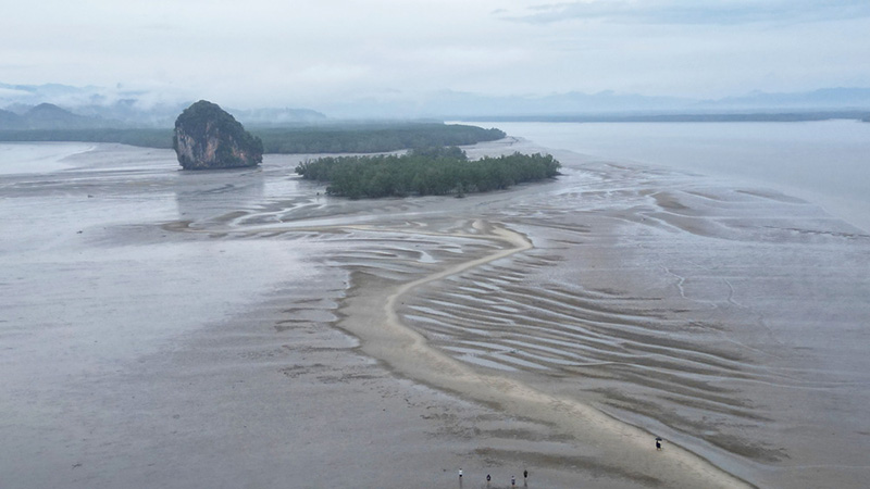 เกาะตั้งเลน พังงา ชมปูมดแดง