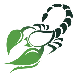 ดูดวงการเงิน เดือนกุมภาพันธ์ 2566