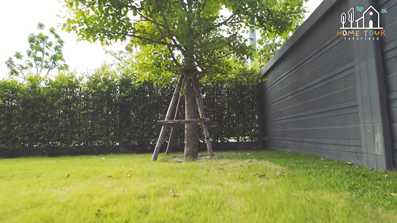 หยาดพิรุณ