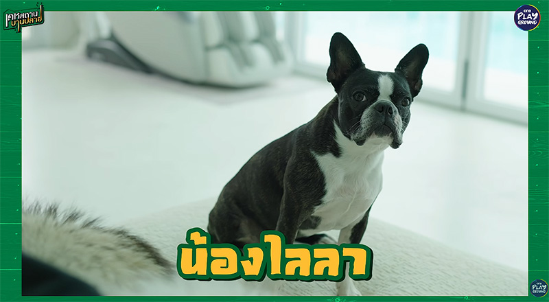 บ้านเป็กกี้ ศรีธัญญา
