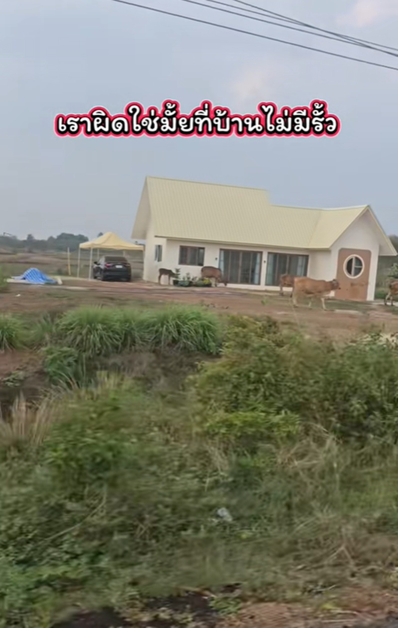 เพื่อนบ้าน