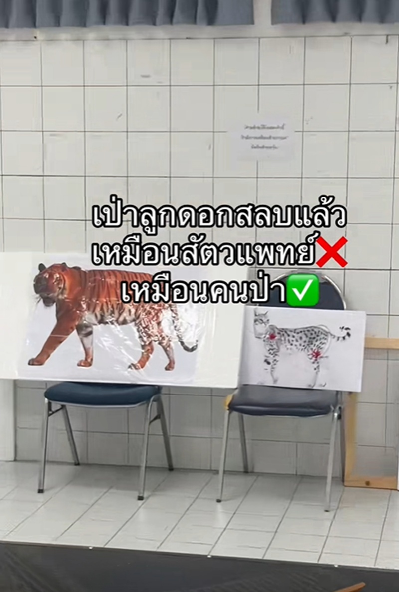 ลูกดอกยาสลบ