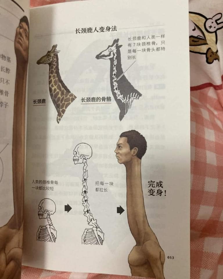 หนังสือเรียน